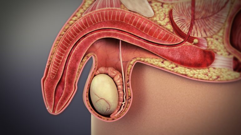 Erectile_dysfunction