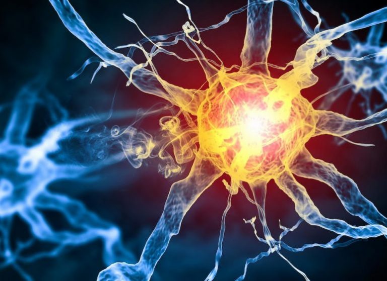 neurones-representation-artistique-770×560