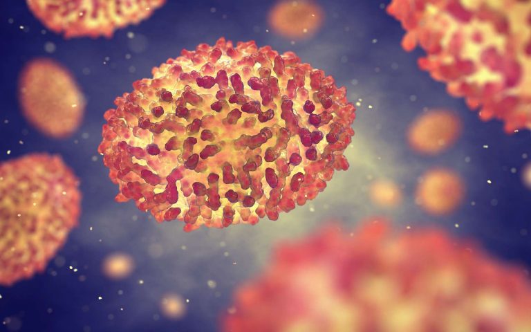2d22b271d9_50174642_virus-variole-nobeastsofierce-adobe-stock