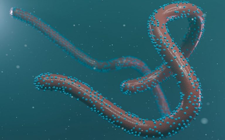 Virus-marburg