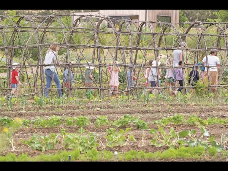 Ecoschool2_161702