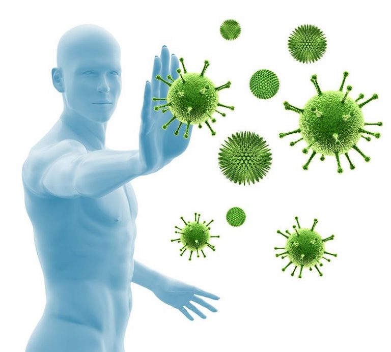 ob_5acb55_systeme-immunitaire