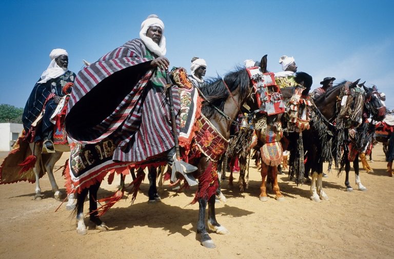 Image de l’article BENIN/ Cours Royal de Nikki: Bagri Abou Tassou Yerima, le nouvel empereur