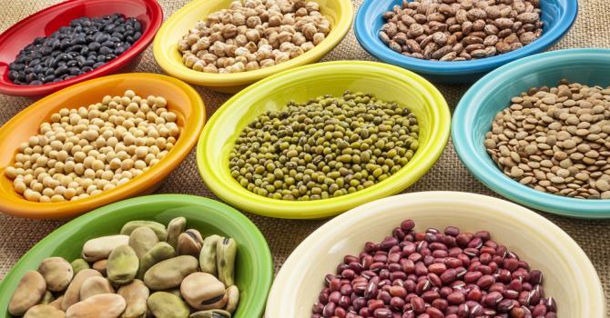 Comment Consommer les légumineuses pour jouir de leurs valeurs nutritives ?