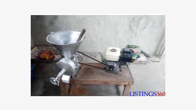 Avec quoi faut-il écraser les condiments pour rester à l’abri des maladies ?