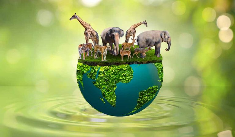 Expertise-Janvier2023_biodiversite-et-climat