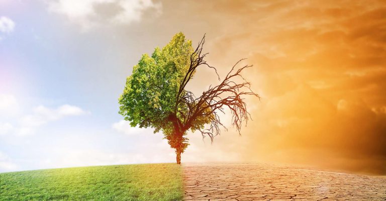 facb36e630_106000_consequences-changements-climatiques