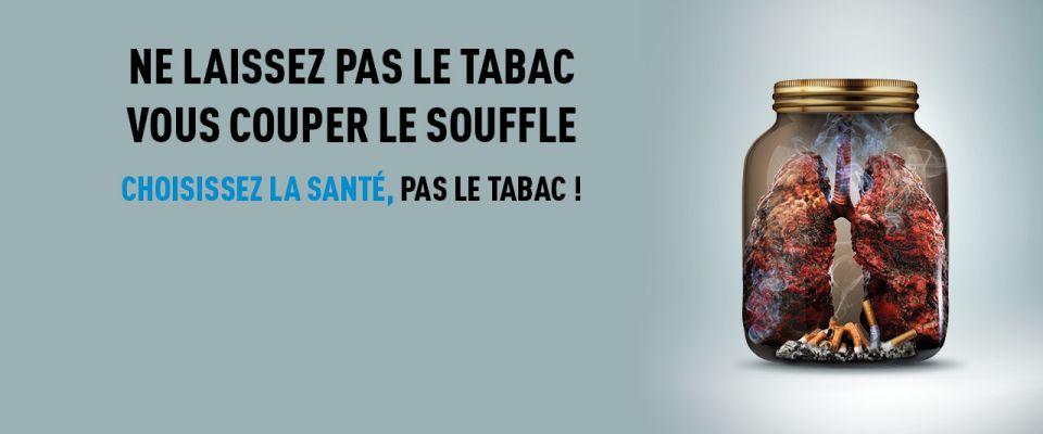 Journée mondiale sans tabac : « Cultivons des aliments, pas du tabac »