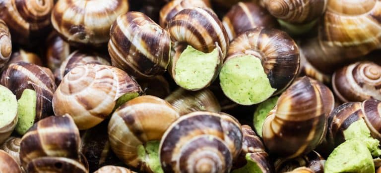 escargo