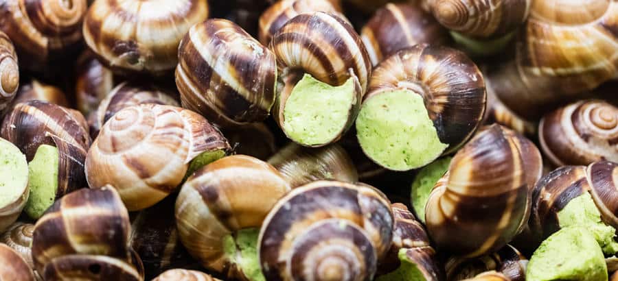 Nutrition/ Bienfaits nutritionnels de l’escargot