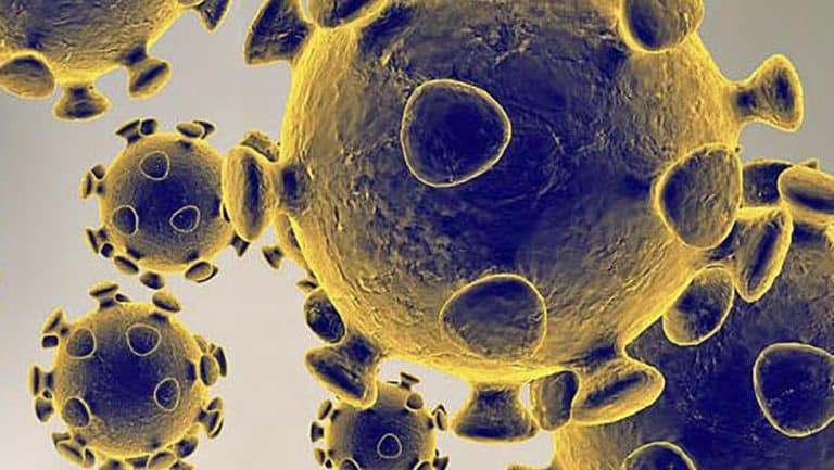 US-HEALTH-VIRUS