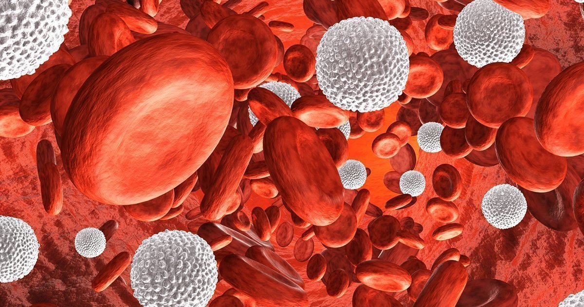 Détecter le cancer du sang tôt : la clé pour sauver des vies !