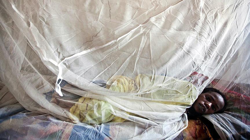 Urgent : Le Bénin confronté à une résurgence de la fièvre Lassa – Ce que vous devez savoir !