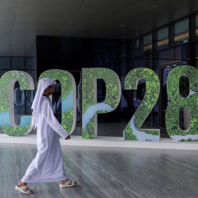 w1280-p1x1-2023-11-27T152934Z_249630499_RC2KJ3A7P0JR_RTRMADP_3_CLIMATE-UN-EIB-SURVEY