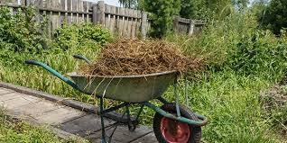 Découvrez les Secrets des Engrais : Boostez la Croissance de Vos Plants !